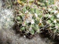 DSCN9126.jpg