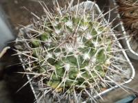 DSCN9127.jpg