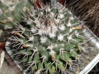 DSCN9137.jpg