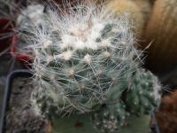 DSCN9157.jpg