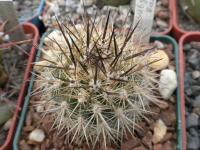 DSCN9162.jpg