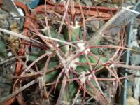 DSCN9170.jpg