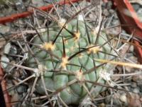 DSCN9173.jpg