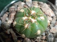 DSCN9177.jpg