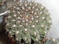 DSCN9184.jpg