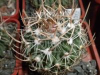 DSCN9195.jpg