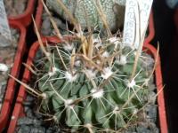 DSCN9196.jpg
