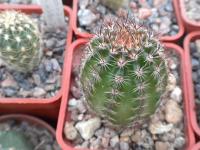 DSCN9204.jpg