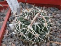 DSCN9205.jpg