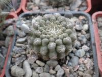 DSCN9212.jpg