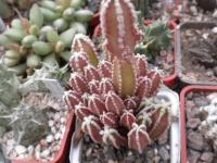 DSCN9219.jpg