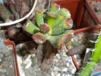 DSCN9224.jpg