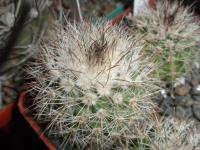 DSCN9239.jpg