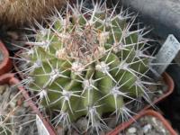 DSCN9260.jpg