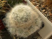 DSCN9269.jpg