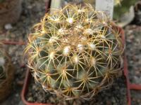 DSCN9280.jpg
