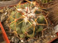 DSCN9295.jpg