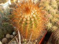 DSCN9302.jpg