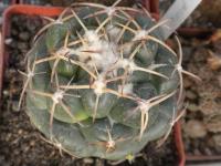 DSCN9305.jpg