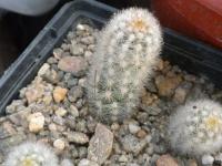DSCN9310.jpg