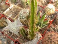 DSCN9312.jpg