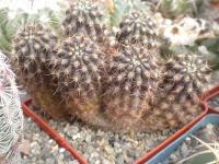 DSCN9317.jpg