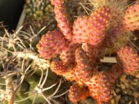 DSCN9364.jpg