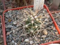 DSCN9401.jpg