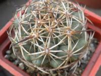 DSCN9446.jpg