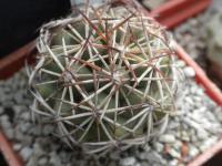 DSCN9447.jpg