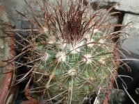 DSCN9449.jpg