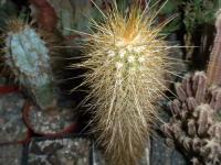 DSCN9562.jpg