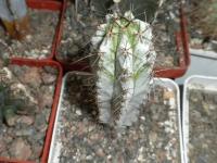 DSCN9563.jpg
