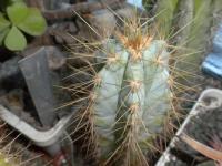 DSCN9571.jpg