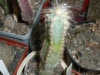 DSCN9584.jpg