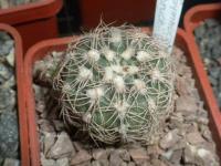 DSCN9597.jpg