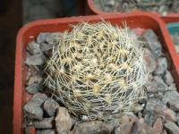 DSCN9599.jpg