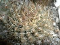 DSCN9616.jpg