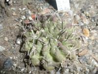 DSCN9617.jpg