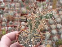 DSCN9656.jpg