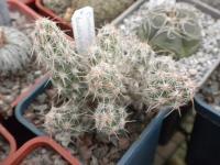 DSCN9661.jpg