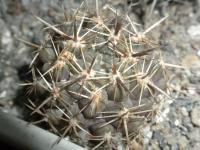 DSCN9679.jpg