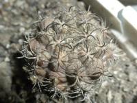 DSCN9681.jpg