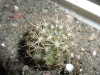 DSCN9684.jpg