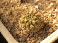 DSCN9708.jpg