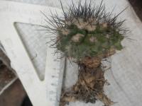 DSCN9718.jpg
