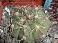 DSCN9753.jpg