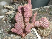 DSCN9760.jpg