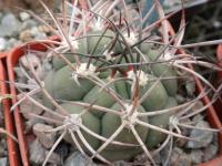 DSCN9872.jpg