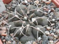 DSCN9876.jpg